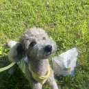 동남덴탈 이미지