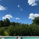 플로어가든02 이미지