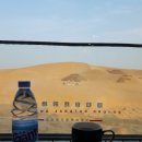 낙타 | 내몽골 오르도스 사막 여행 후기(2. 낙타체험·사막 유리호텔)