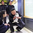 화성애완동물용품