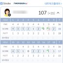 테라스크린 네이버블로그