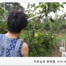 부춘농장 이미지