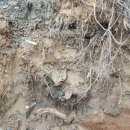 서진정비 | 아산펜션보수공사중하수관로정비시공 후기