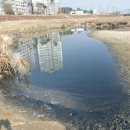 화성시 송산동 황구지천과 수원시 권선구 세류천, 수원시 영통구 원천천 의 비교 이미지