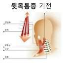 뒷골2로4 이미지