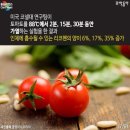 암,질병 예방에 효과적인 채소 10選 이미지