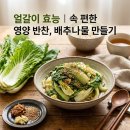 어르신을 위한 건강한 영양소금과 스마트폰 배우기 | 얼갈이 효능과 배추나물, 데쳐 먹는 더 속편한 영양 반찬