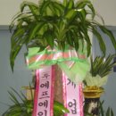 에프에이모스트주 이미지