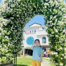 타이곤체육관 이미지