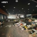 수원-0164 이미지