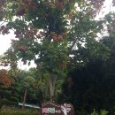 구평동-31 이미지