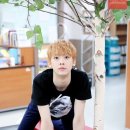 산하이불 이미지