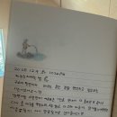 제주 휴식 자쿠지 감성숙소 | 직접 쓴 진심! "일상의 어려움이 잠시 잊히는 곳" - 반려견과 함께하는 제주 독채 자쿠지 감성 숙소 후기