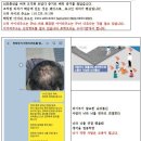 인뉴스TV 기사 4편 입니다 이미지