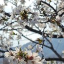 칠서면보건지소 이미지