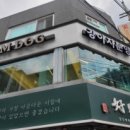 드림독 강아지분양 안심분양센터 잠실점 이미지