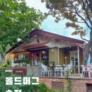 올드머그 | 부산 송정 해운대 카페 해변열차가 보이는 올드머그 다녀온 후기