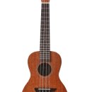 [주말]우쿨렐레 이미지