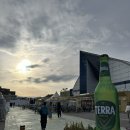 26 | [대전 유성구] 26년 엑스포 한빛탑 광장 야장 먹거리 음악분수 맥주축제 맥주도시 방문