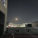 싹디 이미지