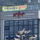 대구 송해공원 한정식 맛집 마루야 시래기솥밥이 단돈 9,000원!