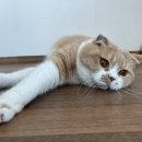 다다민박 이미지