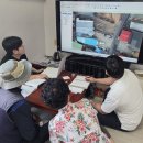 1142 전라일보