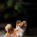 W&W(와앤와) 이미지