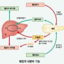 췌장암의 통합의학적 치료와 관리 ​ 이미지