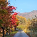 제239차 10월 정기산행 - 태백산 국립공원 단풍 산행 이미지