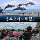 돌고래식당 | 후쿠오카 마린월드 돌고래쇼 시간 입장권 식당 가족여행 후기
