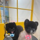 미용타운 이미지