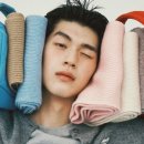 Luster Wash 이미지