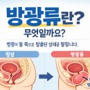 순백의원 이미지