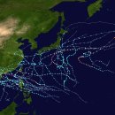 16년만에 한반도에 태풍 없는 해로 기록된 2025년 이미지