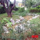 보운초교 이미지