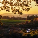 보배반점 함양점 이미지