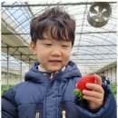 천마 태권도장 이미지