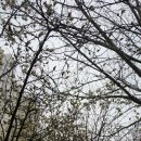 유림좋은집공인중개사사무소 이미지