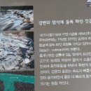 무릉도원자연펜션 이미지