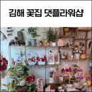댓플라워샵 - 7678 | 김해 꽃집 댓플라워샵 꽃바구니 내돈내산 후기