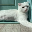 안영순베이커리카페(군산점) 이미지