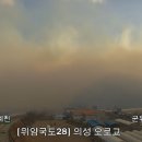 의성체육관 이미지