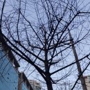 반월빌딩 이미지