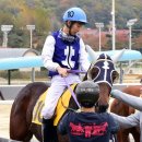 대지로3R 이미지