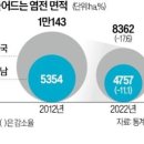 천일염 값 75% 급등…＂내달 햇소금 나와야 진정 이미지