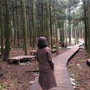 자립A 목장 | 나의 세번째 제주.