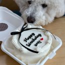 알럽댕큐 이미지