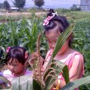 채은농장 이미지