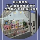 비산동꽃집, 지니 플로라에서 만난 신선하고 아름다운 꽃들!